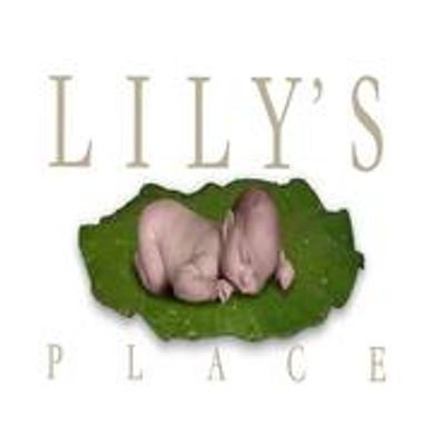 Lily's Place