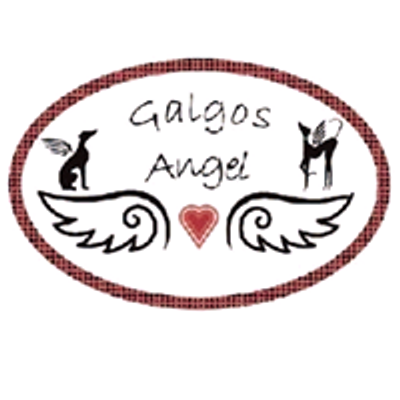 Galgos Angel