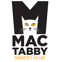Mac Tabby Cat Caf\u00e9