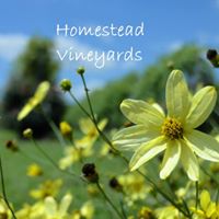 Homestead Vinyards