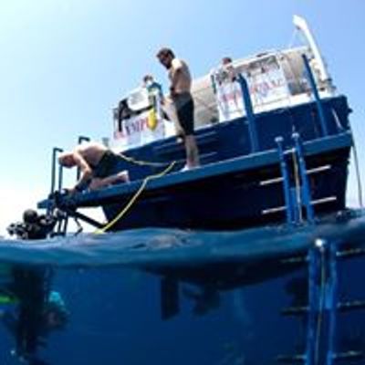 Olympus Dive Center