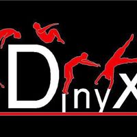 DinyX Acrobatics
