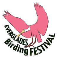 The Everglades Birding Festival