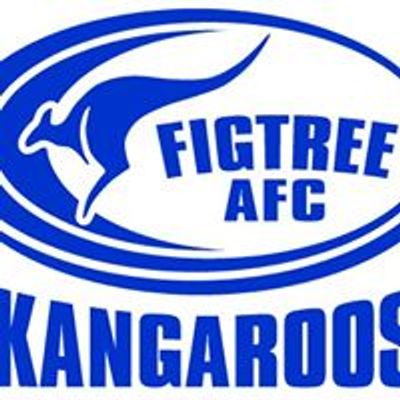 Figtree Australian Football Club