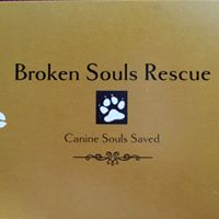 Broken Souls Rescue