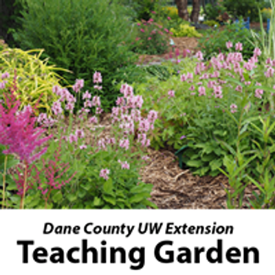 Dane County UW Extension Teaching Garden