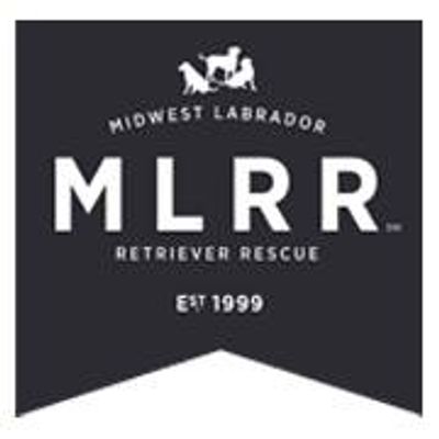 Midwest Labrador Retriever Rescue