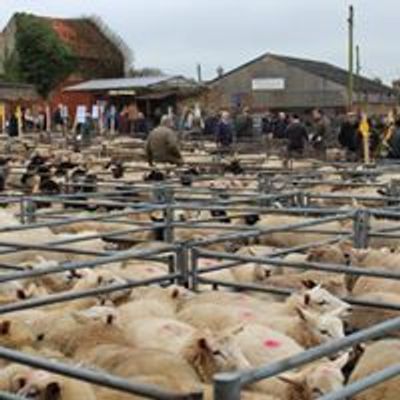 Thrapston Livestock Market