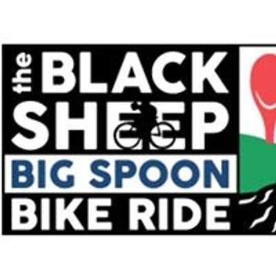 Big Spoon Bike Ride