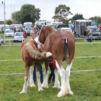 Mounthill Fair