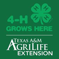 Young County 4-H - Texas A&M AgriLife Extension