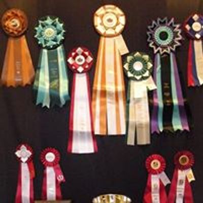 Rockton World's Fair Alpaca Show