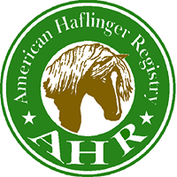 American Haflinger Registry