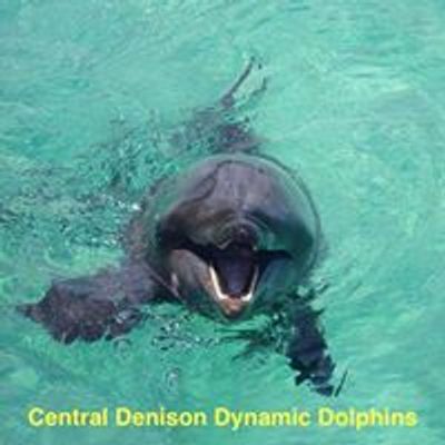 Miss Stanfield's Dynamic Dolphins