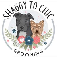 Shaggy to Chic Pet Grooming- Yuma