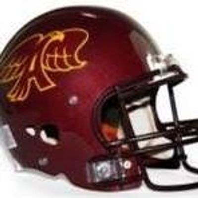 Ankeny Hawks Football