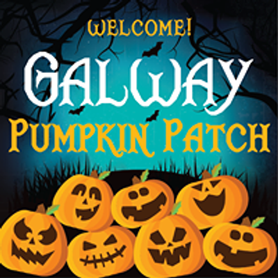 Galway Pumpkin Patch