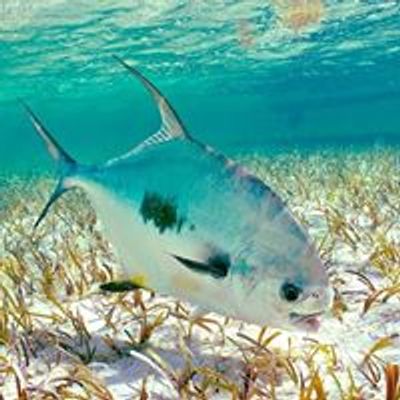 Bonefish & Tarpon Trust