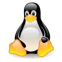 Linux Learning Centre Ltd - Kenya