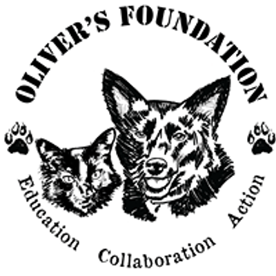 Oliver's Foundation