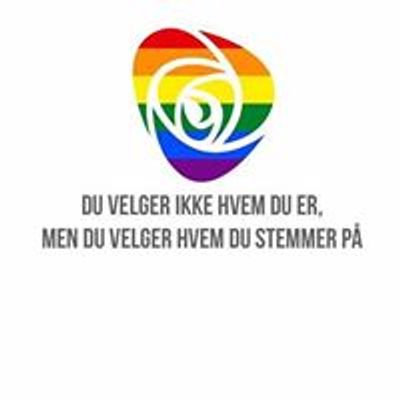 Homonettverket- lesbiske, homofile, bifile, transpersoner i Arbeiderpartiet