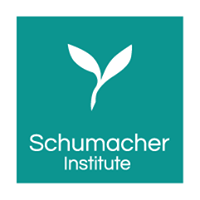 The Schumacher Institute