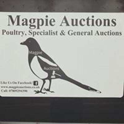 Magpie Auctions