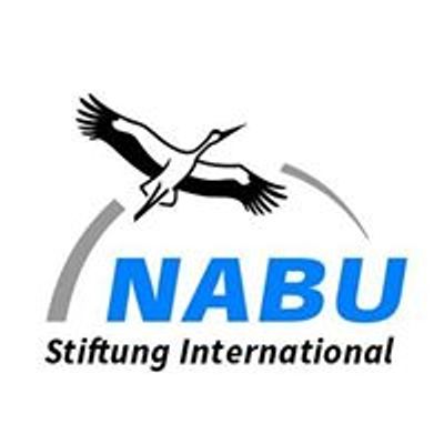 NABU International