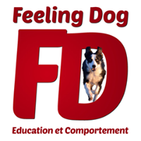 Feeling dog \u00e9ducation et comportement canin