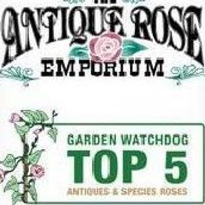 Antique Rose Emporium