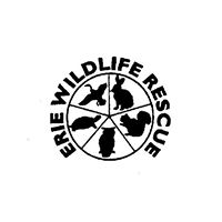 Erie Wildlife Rescue