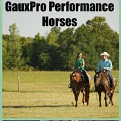 GauxPro Performance Horses