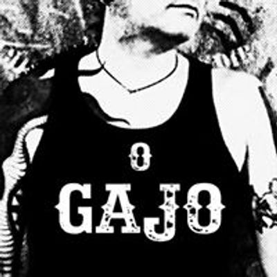 O Gajo