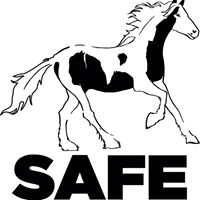SAFE - Saving Abandoned Fly-Grazing Equines