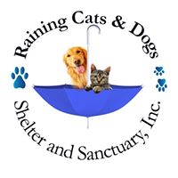 Raining Cats and Dogs Shelter and Sanctuary
