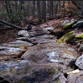 Frederick Watershed Trails