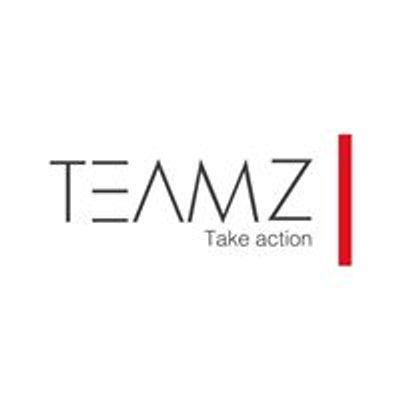 TEAMZ Inc.