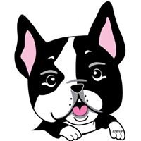 Boston Terrier & Short Nose Rescue Of Oklahoma