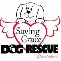 Saving Grace Dog Rescue of San Antonio