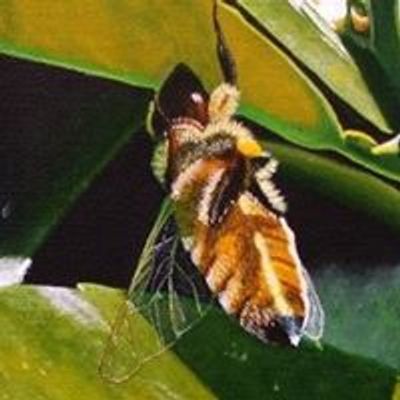 Jessica Keller - Visual Artist