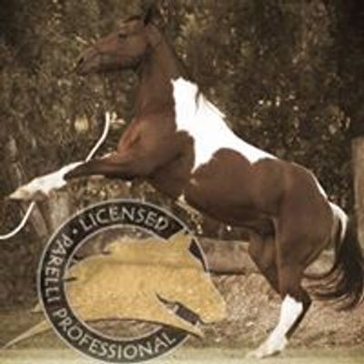 Natural Horsemanship with Lynetta Schionning