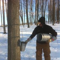 Windlee Farms maple syrup