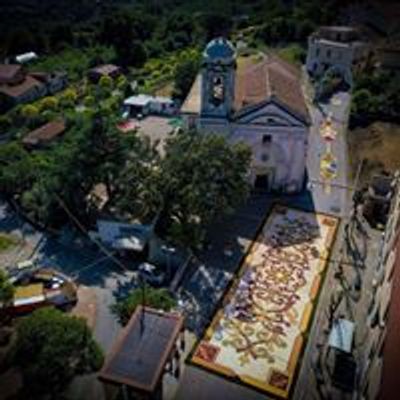 Ogliara in Fiore - L'Infiorata di Salerno