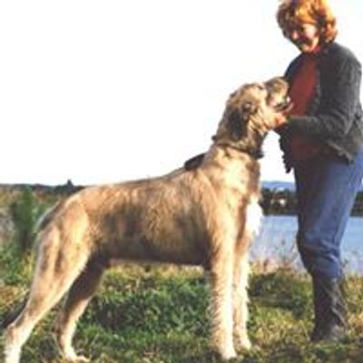 Faye Rogers Animal Communicator