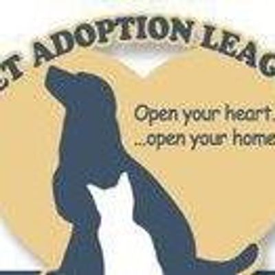 Pet Adoption League