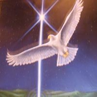 Eckankar in Pinellas County, Florida