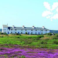 National Trust Dunwich Heath