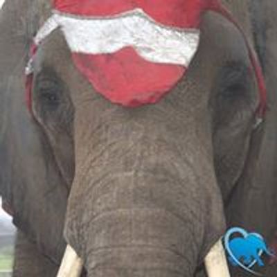 Circus Protest
