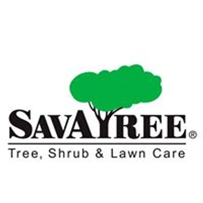 Savatree Careers
