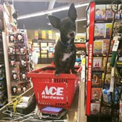 Pinnacle Peak ACE Hardware & Paint